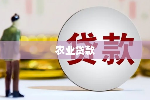 中站农业贷款