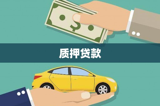 中站质押贷款
