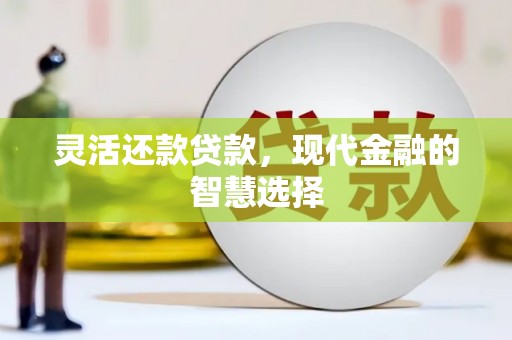 中站灵活还款贷款，现代金融的智慧选择