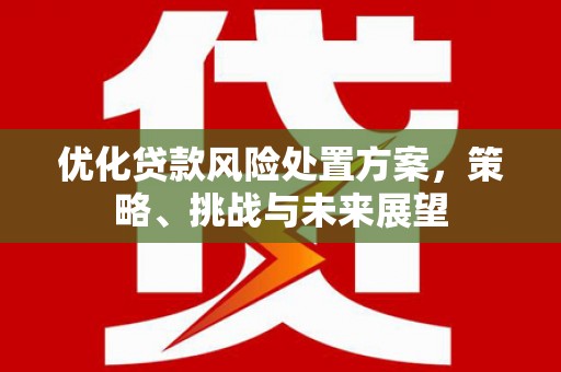 中站优化贷款风险处置方案，策略、挑战与未来展望