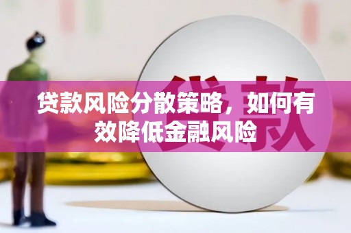 中站贷款风险分散策略，如何有效降低金融风险