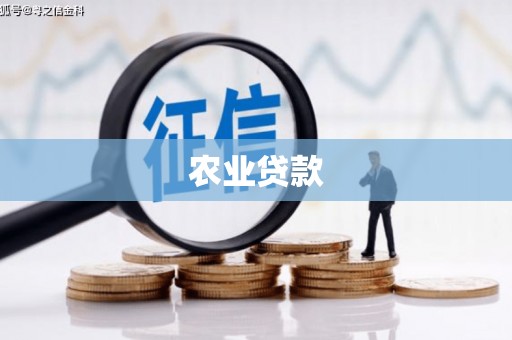 中站农业贷款