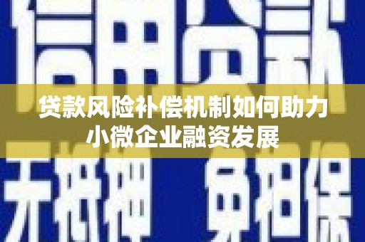 中站贷款风险补偿机制如何助力小微企业融资发展