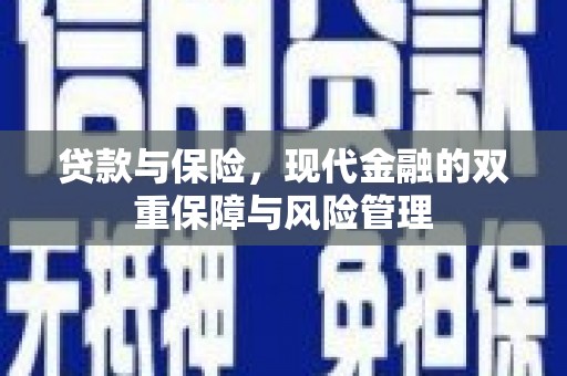 中站贷款与保险，现代金融的双重保障与风险管理