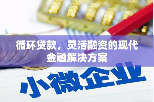 中站循环贷款，灵活融资的现代金融解决方案