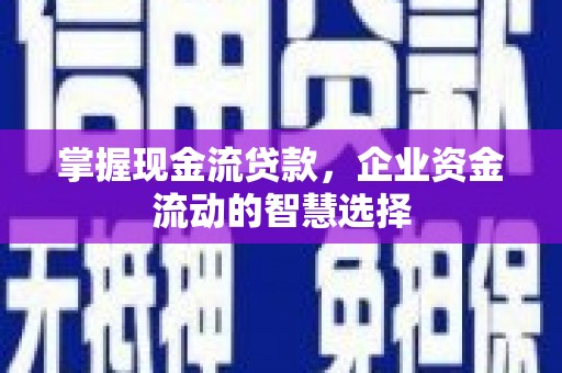 中站掌握现金流贷款，企业资金流动的智慧选择
