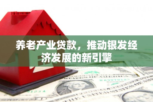 中站养老产业贷款，推动银发经济发展的新引擎