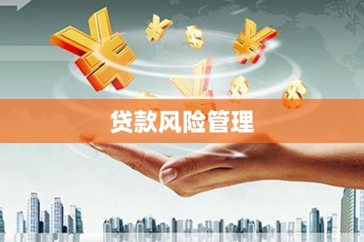 中站贷款风险管理