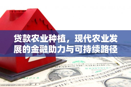 中站贷款农业种植，现代农业发展的金融助力与可持续路径