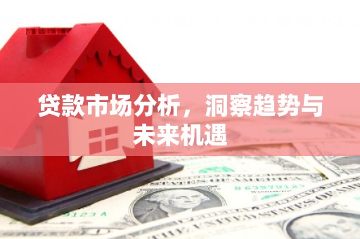 中站贷款市场分析，洞察趋势与未来机遇