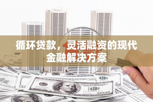 中站循环贷款，灵活融资的现代金融解决方案