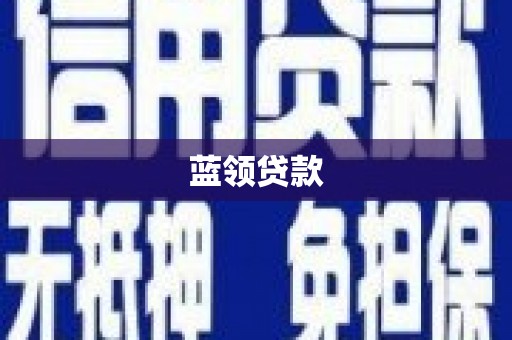 中站蓝领贷款