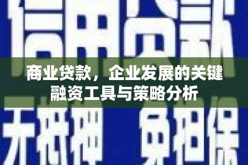 中站商业贷款，企业发展的关键融资工具与策略分析