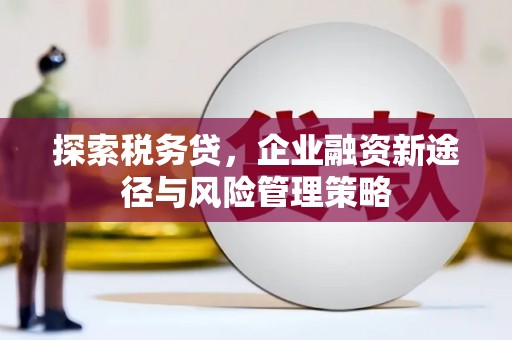 中站探索税务贷，企业融资新途径与风险管理策略