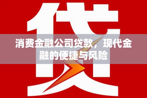 中站消费金融公司贷款，现代金融的便捷与风险