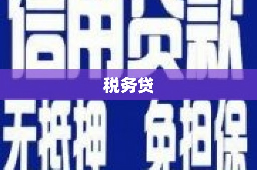 中站税务贷