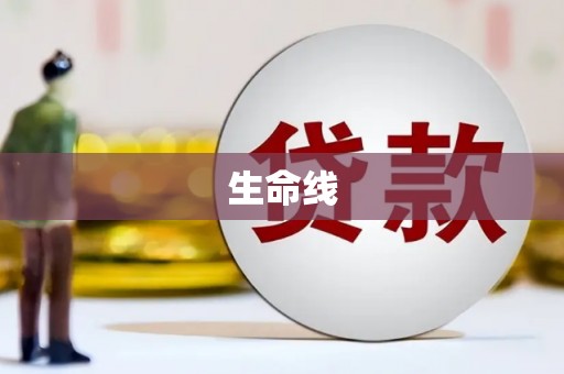 中站生命线