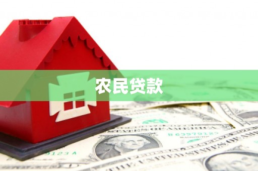 中站农民贷款