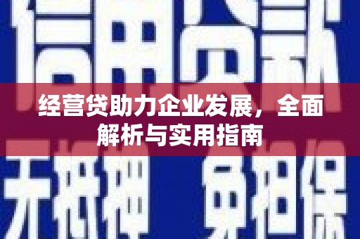 中站经营贷助力企业发展，全面解析与实用指南