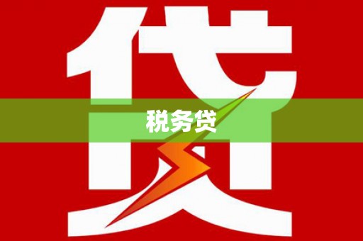 中站税务贷