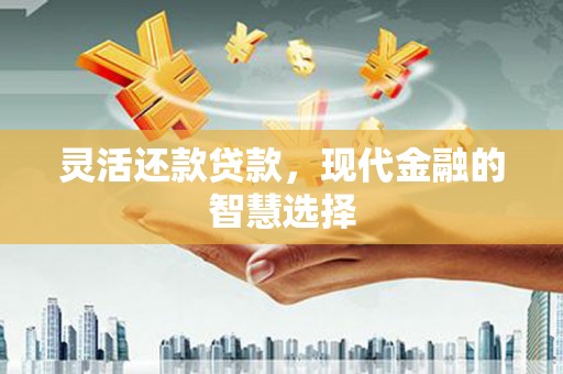 中站灵活还款贷款，现代金融的智慧选择