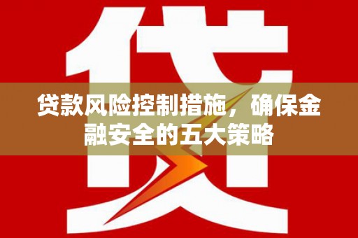 中站贷款风险控制措施，确保金融安全的五大策略