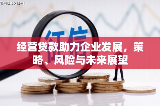 中站经营贷款助力企业发展，策略、风险与未来展望