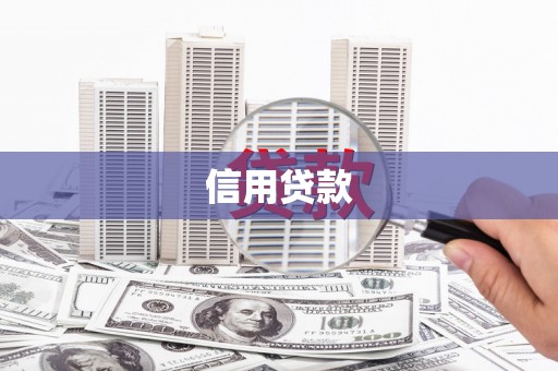 中站信用贷款