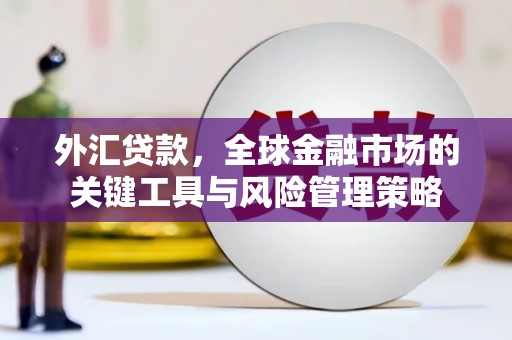中站外汇贷款，全球金融市场的关键工具与风险管理策略
