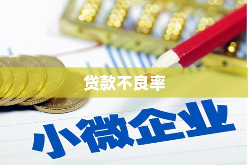中站贷款不良率