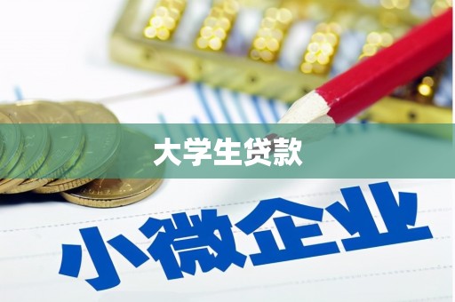 中站大学生贷款