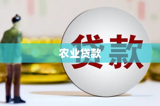 中站农业贷款