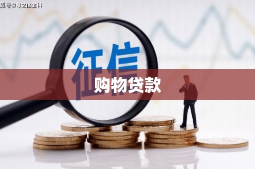 中站购物贷款
