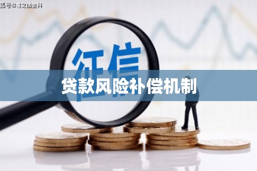 中站贷款风险补偿机制