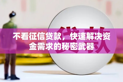 中站不看征信贷款，快速解决资金需求的秘密武器