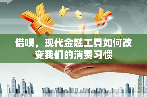 中站借呗，现代金融工具如何改变我们的消费习惯