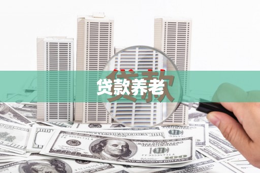 中站贷款养老