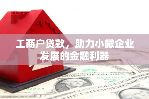 中站工商户贷款，助力小微企业发展的金融利器