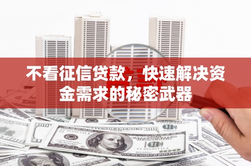 中站不看征信贷款，快速解决资金需求的秘密武器