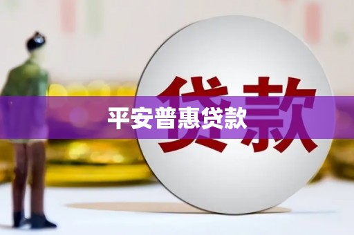 中站平安普惠贷款