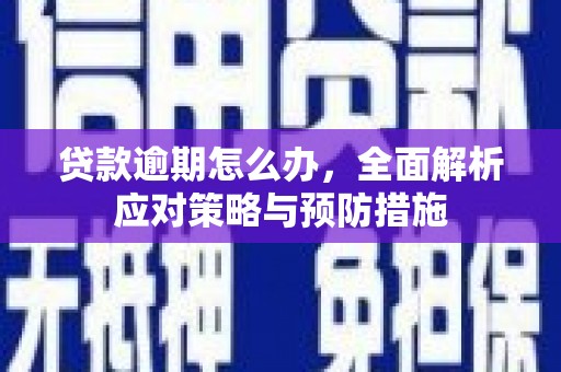 中站贷款逾期怎么办，全面解析应对策略与预防措施