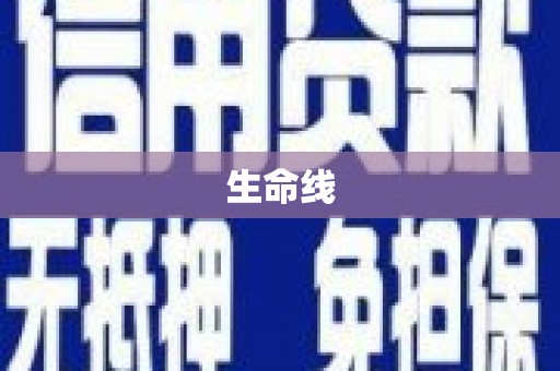 中站生命线