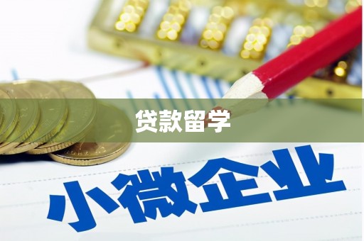 中站贷款留学