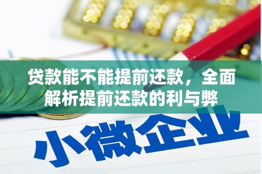 中站贷款能不能提前还款，全面解析提前还款的利与弊