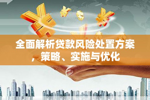 中站全面解析贷款风险处置方案，策略、实施与优化