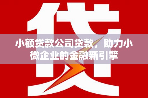 中站小额贷款公司贷款，助力小微企业的金融新引擎