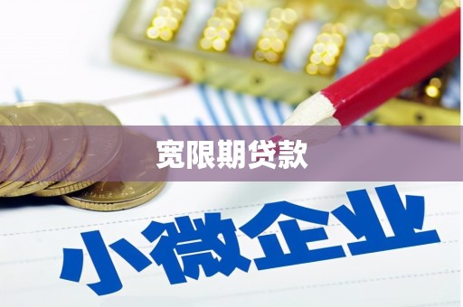 中站宽限期贷款