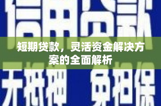 中站短期贷款，灵活资金解决方案的全面解析