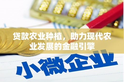 中站贷款农业种植，助力现代农业发展的金融引擎