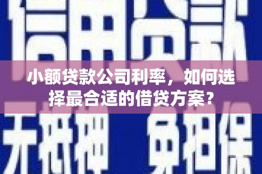 中站小额贷款公司利率，如何选择最合适的借贷方案？